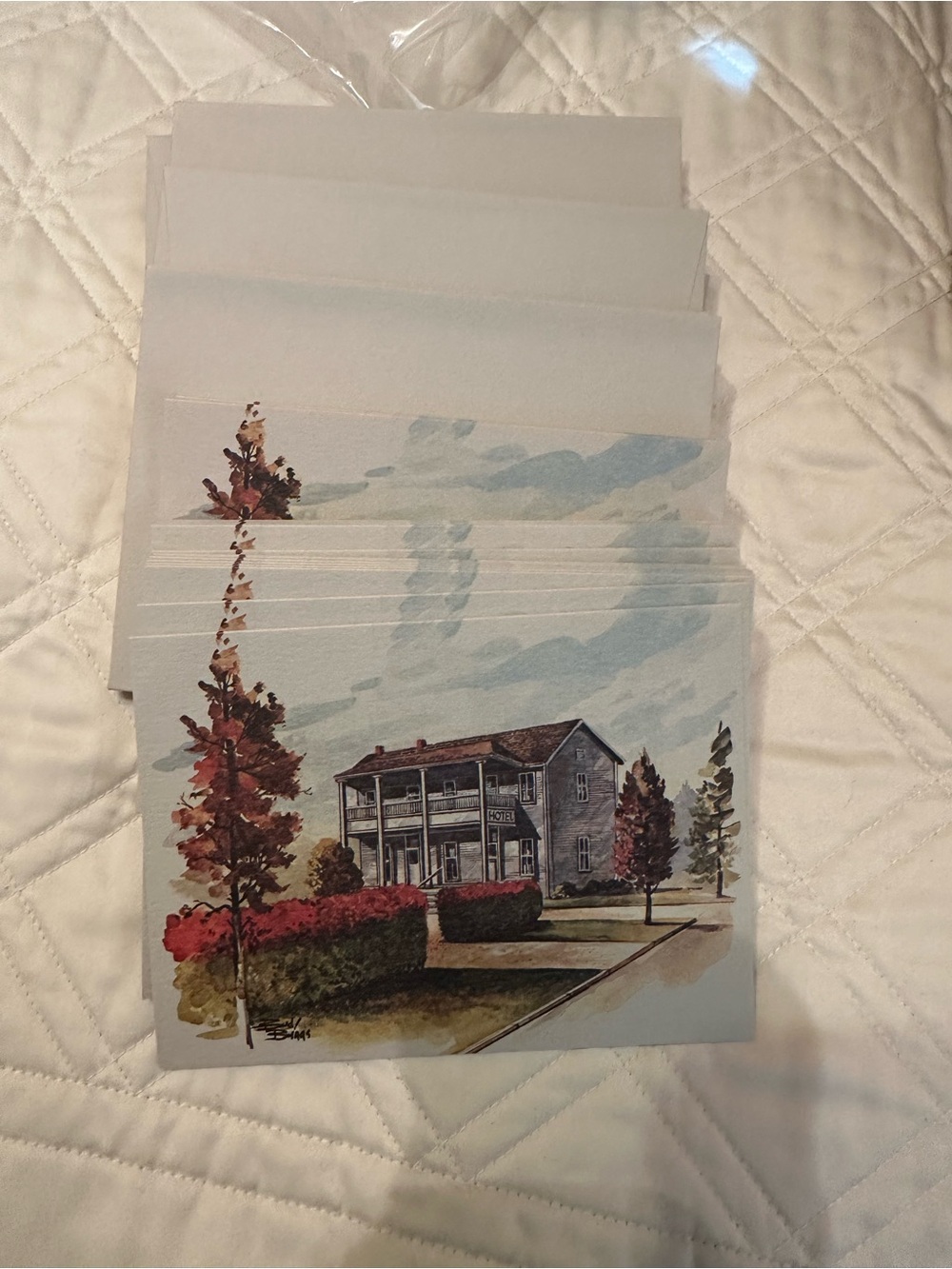 Vintage Stationery, The Drummers’ Hotel circa 1904 4 x 6” cards with envelopes.